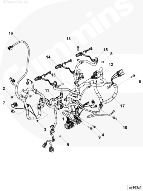 Жгут проводов для двигателя Cummins 6ISBe 5.9L