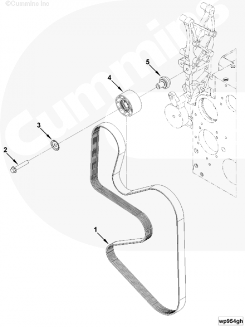 Ремень 8PK1816 для двигателя Cummins QSC 8.3L