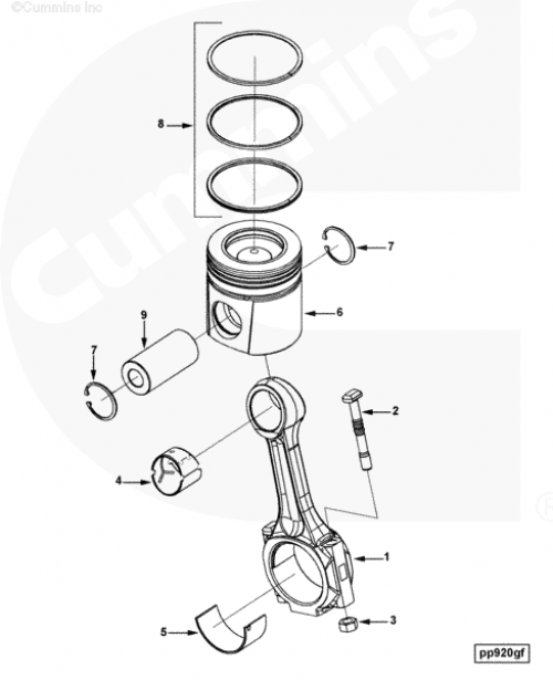 Поршень для двигателя Cummins QSC 8.3L