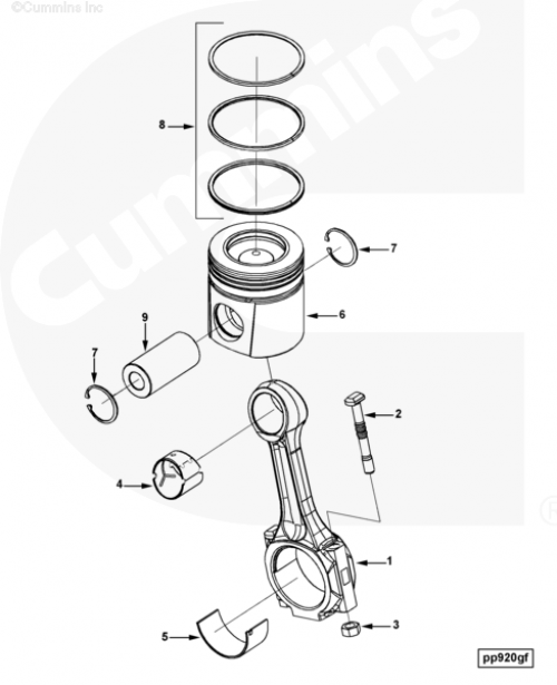 Вкладыши шатунные комплект 0,75 для двигателя Cummins ISLe 8.9L