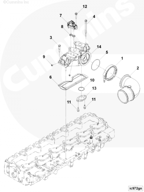 Прокладка впускного патрубка для двигателя Cummins QSL 9L
