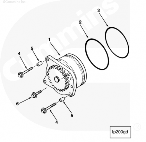 Кольцо уплотнительное масляного насоса для двигателя Cummins ISM 11L