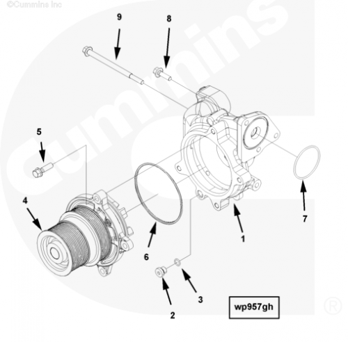 Кольцо уплотнительное водяного насоса для двигателя Cummins QSX 11.9