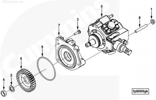 Кольцо уплотнительное адаптера ТНВД для двигателя Cummins B 3.3