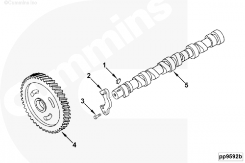 Шестерня распредвала для двигателя Cummins 4BT / EQB